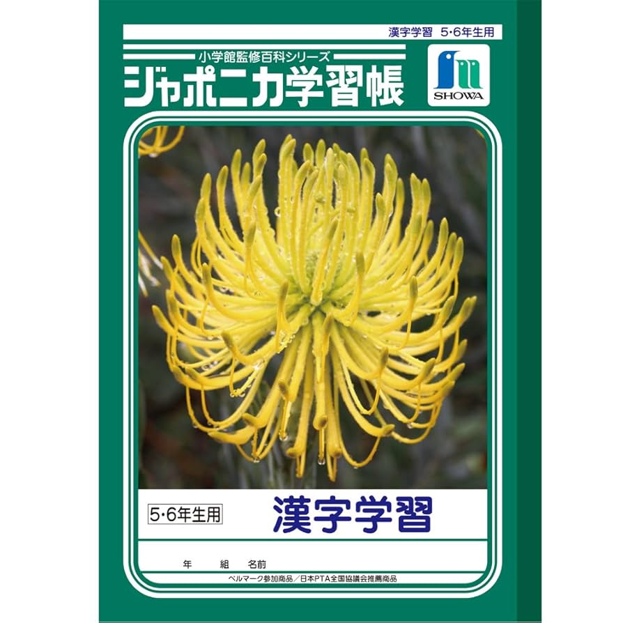 Amazon.co.jp: ショウワノート 学習帳 ジャポニカ 漢字学習 5・6